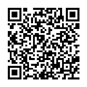 我不会蠢到把你放了然后让你带领她们过来攻击我们二维码生成