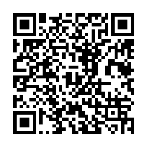 我不敢跟你保证一定会影响到其他两族对东大陆的用兵二维码生成