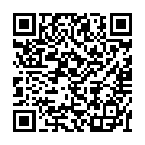 我不是让你把所有的药材都炼制完了才能出去吗二维码生成