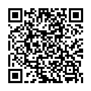 我不是跟你说了去检查所有的武器和化武弹药吗二维码生成