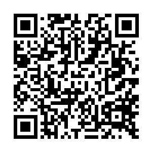我不相信国内各种战线就扒拉不出我这样一个歪瓜裂枣了二维码生成