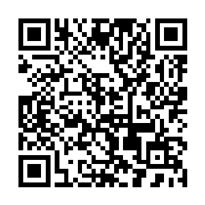 我不知道……也许是因为科尔斯顿老爷的遗产吧……二维码生成