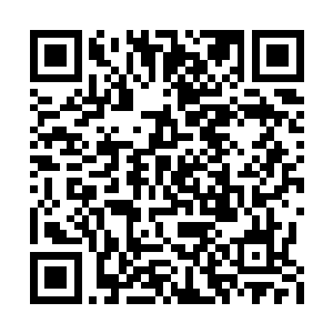 我不知道宋秋雨是什么时候知道我就是老佛爷的二维码生成