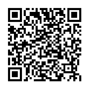 我不管那个叫里也的废物是从哪里弄来这东西的二维码生成