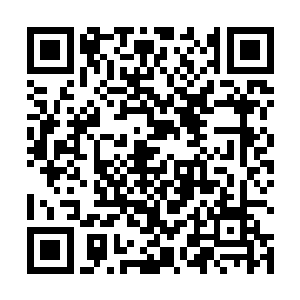 我不要当我自己……为什么我不能和普通的小孩子一样二维码生成