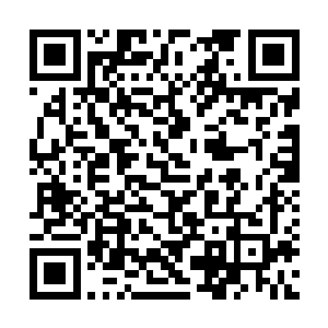 我不要当连1000块月票奖都赚不到的扑街咸鱼啊啊二维码生成