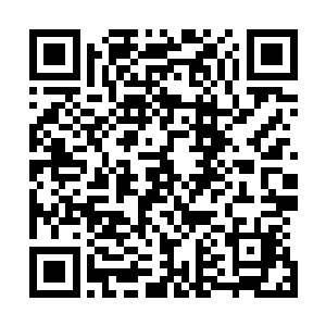 我不觉得我们郎家会做什么值得国际刑警特意找上门的事情二维码生成