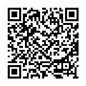 我不过是想知道更多这幻境运作的规则细节罢了二维码生成