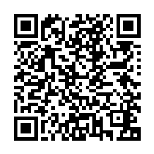 我不过让你们去雪山山脚下查看一下埋在那的那些酒怎么样了二维码生成