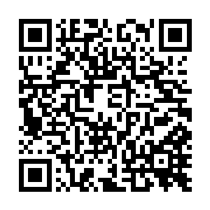 我与红袍因为在草原是否独立上于草原神殿的其他人不和二维码生成