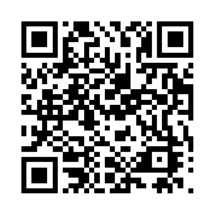 我个许星甘各自带领了一个五十人的小队二维码生成