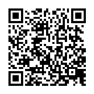 我也不知道……我不知道呀……我们忽然就出现在了那儿二维码生成