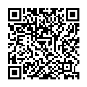 我也不知道……或许是被我的人格魅力所征服了吧……其实也是二维码生成