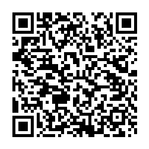 我也不知道为什么那么多年了杜达志都无法找到徐孝德的犯罪证据二维码生成