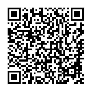 我也不知道到底是怎么……反正我就是有一次吃了一朵奇异的莲花二维码生成