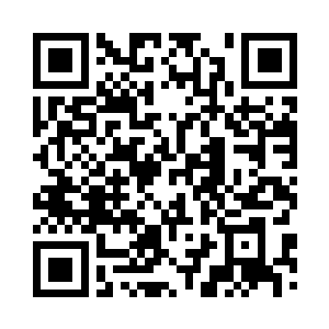 我也不知道秦老板你会回来买毛料啊二维码生成