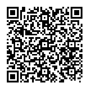 我也同样会立刻撤离……要是你超过了五天的时间才能从未来科技研究院出来的话二维码生成