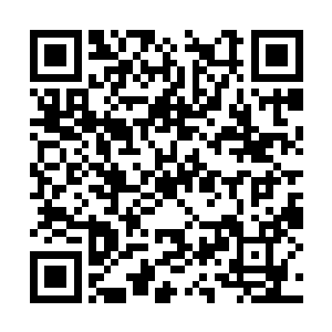 我也宁肯花掉一个亿来结束自己对这样宴会的恶心二维码生成