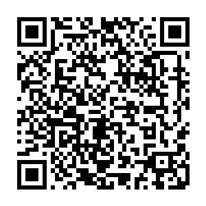 我也很期待海精灵中的米雅和木精灵中的武圣能生出怎样强大的孩子呢……二维码生成