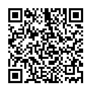 我也很难过……但我不可能眼睁睁看着宁国吞了姜国二维码生成