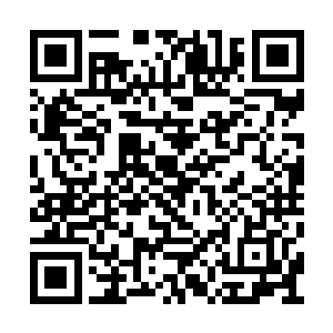 我也料到了一张纸条不可能将他们全部都给吓走二维码生成