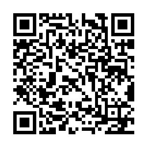 我也没亲眼见过啊……再说那种玩治疗法术的家伙二维码生成