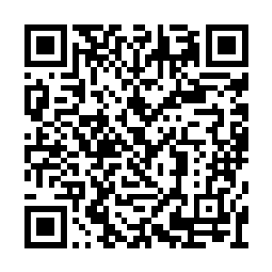 我也相信林烽……他一定可以将还魂草采摘到的二维码生成