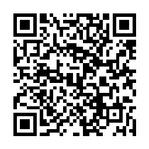 我也看到了壶丘氏和东佛不念打得最为炽烈的战斗二维码生成