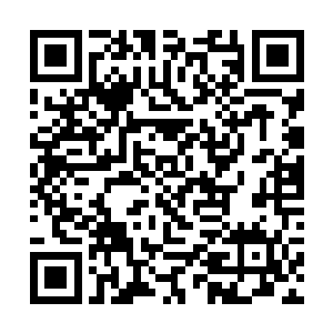 我也确定纵然以她六品开天的实力也不可能追得上我二维码生成