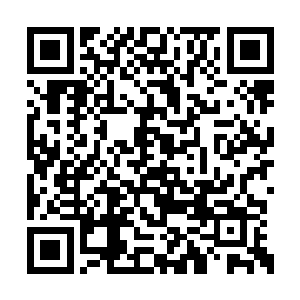 我也能够看出他垂在身侧的双手紧紧地攥成拳头二维码生成