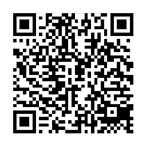 我也认为元始文明或者它制造的超级程序充满了恶意二维码生成