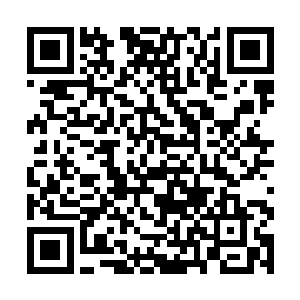 我买下这家公司就是要这些员工管理人员来给我打工二维码生成