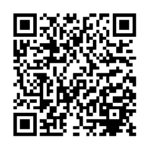 我今天倒要看看你到底能对我这个亲妹妹冷血到什么程度二维码生成