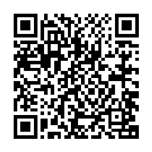我仍记得父亲在知道我今后实力再难寸进时那绝望的眼神……二维码生成