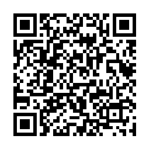 我从储物戒内瞬移出噬魂鞭握在手中狂抽扑来的鬼魂二维码生成