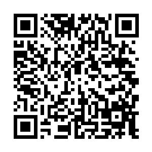 我从幽冥派一个弟子的嘴里打听到里边生长着一株灵药二维码生成