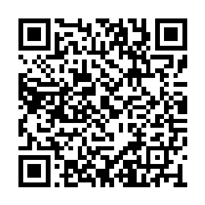 我从文艺作品和情感理论著作中学到了很多东西二维码生成