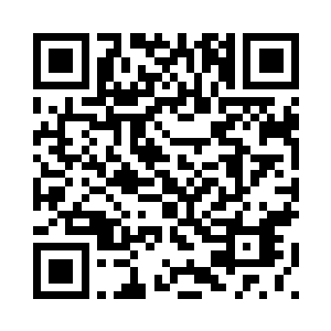 我从来不是一个给自己添麻烦的人二维码生成