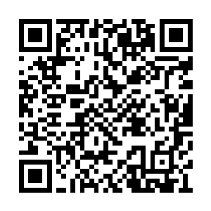我代表一号实验室的全体科研人员欢迎您的到来二维码生成