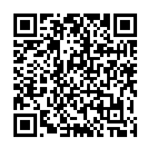 我代表华夏国民间医术团感谢东乌国板基医院的盛情款待二维码生成