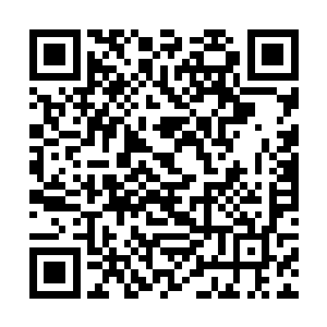 我以为他会在骨器大赛最后一轮王宫赐宴上才会出现二维码生成