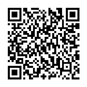 我以为应该适当的撤销家族族长对族人的生杀大权二维码生成