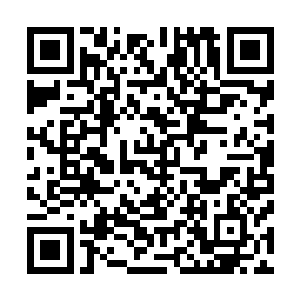 我以为知道赞布这个名字的人已经只有三族大巫和极少数人二维码生成