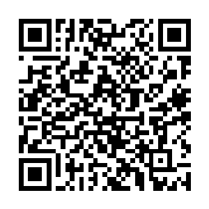 我以前听君白曾经说过他小时候险些被一条毒蛇咬伤二维码生成