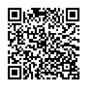 我以前在俗世的时候喜欢上网络文学网站看网络来我发现二维码生成