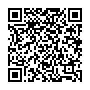 我以无上意志所化的利剑轻易就能切断它们之间的联系二维码生成