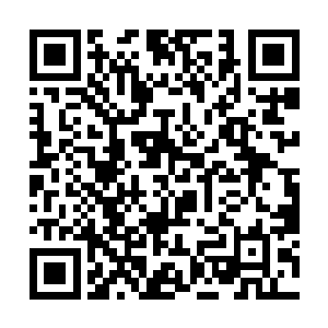 我们……好像是在回来的飞机上教训修罗的时候说过二维码生成