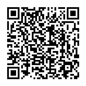 我们……我们寒仙门这次……这次派了三百六十位混元境的弟子前来维持秩序二维码生成