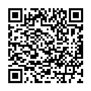 我们一伙人走在路上遇到那些男生女生们也都吓得直往开躲二维码生成