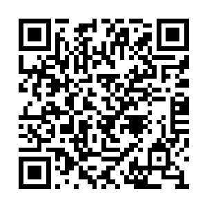 我们一定会把他当自己的亲生孩子一样来疼爱的二维码生成